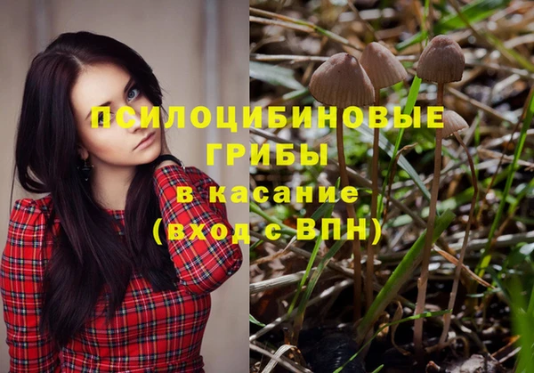 соль курить ск Елизово