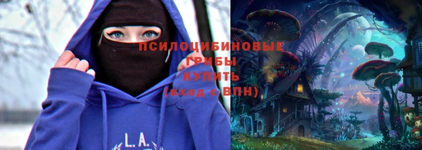 соль курить ск Елизово
