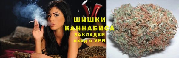 амфетамин Ельня